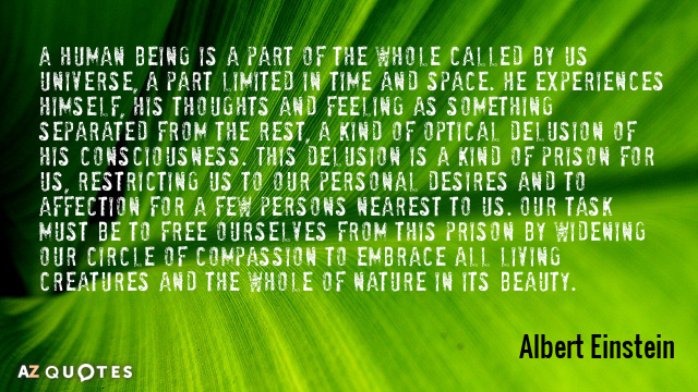 Albert Einstein quote: A human being is a part of the whole called by us universe...