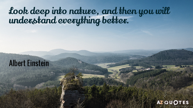 Albert Einstein quote: Look deep into nature, and then you will understand everything better.