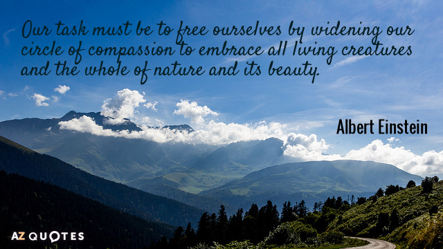 Albert Einstein quote: Our task must be to free ourselves by widening our circle of compassion...