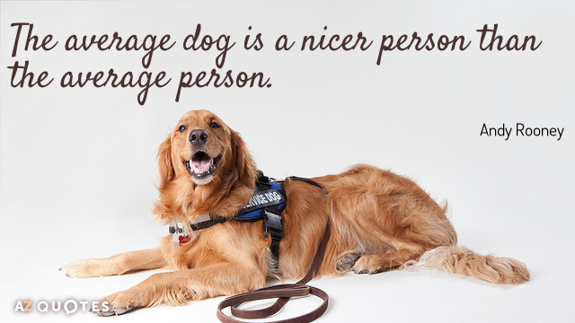 Andy Rooney quote: The average dog is a nicer person than the average person.
