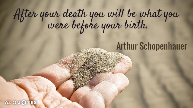 Arthur Schopenhauer quote: After your death you will be what you were before your birth.