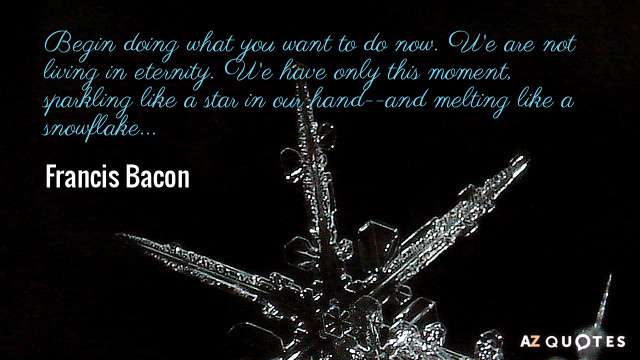 Francis Bacon quote: Begin doing what you want to do now. We are not living in...