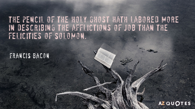 Francis Bacon quote: The pencil of the Holy Ghost hath labored more in describing the afflictions...