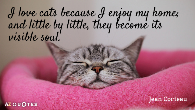 Jean Cocteau quote: I love cats because I enjoy my home; and little by little, they...