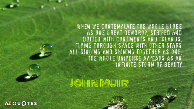 John Muir quote: When we contemplate the whole globe as one great dewdrop, striped and dotted...