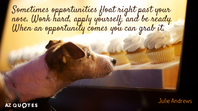 Julie Andrews quote: Sometimes opportunities float right past your nose. Work hard, apply yourself, and be...