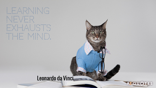 Leonardo da Vinci quote: Learning never exhausts the mind.