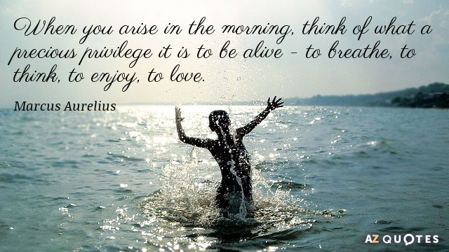 Marcus Aurelius quote: When you arise in the morning, think of what a precious privilege it...