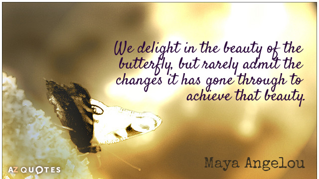 Maya Angelou quote: We delight in the beauty of the butterfly, but rarely admit the changes...