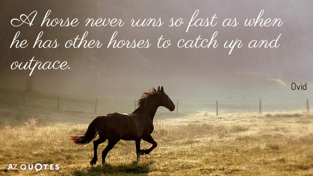 Quotation-Ovid-A-horse-never-runs-so-fast-as-when-he-has-64-78-66.jpg