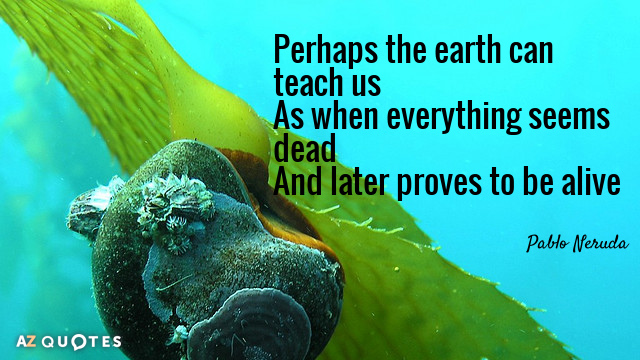 Pablo Neruda quote: Perhaps the earth can teach us
As when everything seems dead
And later proves to...