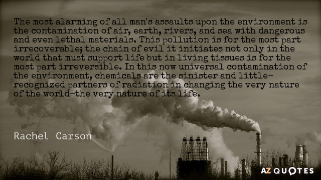 Rachel Carson quote: The most alarming of all man's assaults upon the environment is the contamination...