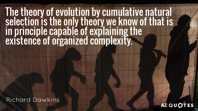 Richard Dawkins quote: The theory of evolution by cumulative natural selection is the only theory we...