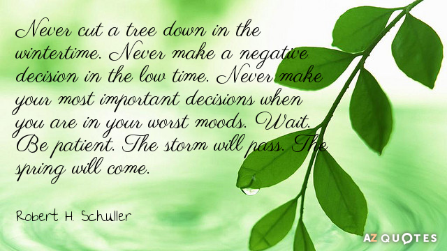 Robert H. Schuller quote: Never cut a tree down in the wintertime. Never make a negative...