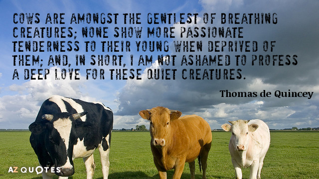 Thomas de Quincey quote: Cows are amongst the gentlest of breathing creatures; none show more passionate...