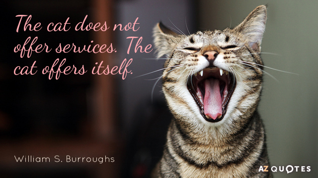 William S. Burroughs quote: The cat does not offer services. The cat offers itself.