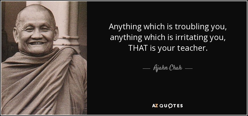 Anything which is troubling you, anything which is irritating you, THAT is your teacher. - Ajahn Chah