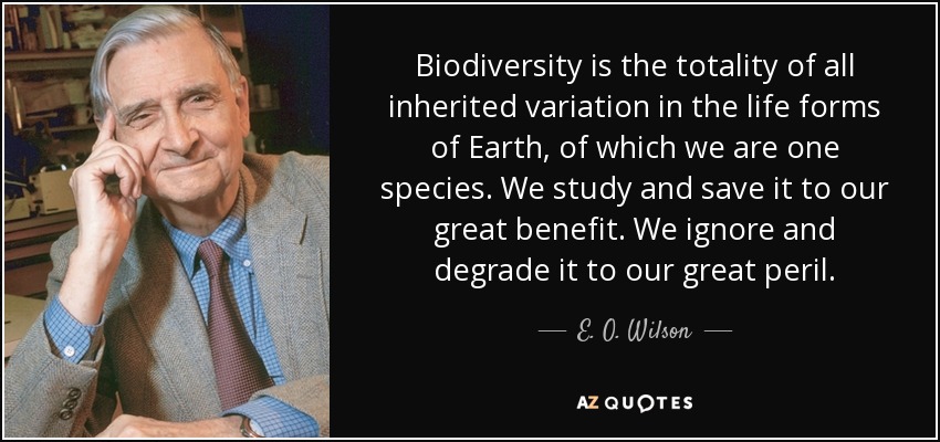 E. O. Wilson quote: Biodiversity is the totality of all inherited