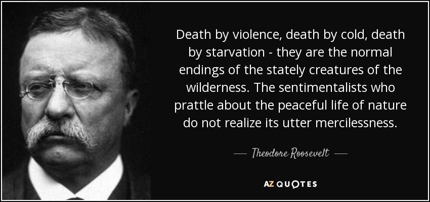 Theodore Roosevelt quote: Death by violence, death by cold, death by