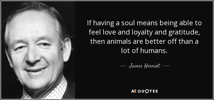 If having a soul means being able to feel love and loyalty and gratitude, ... - quote-if-having-a-soul-means-being-able-to-feel-love-and-loyalty-and-gratitude-then-animals-james-herriot-13-9-0941