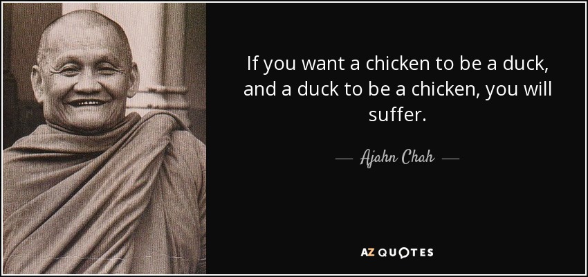 If you want a chicken to be a duck, and a duck to be a chicken, you will suffer. - Ajahn Chah