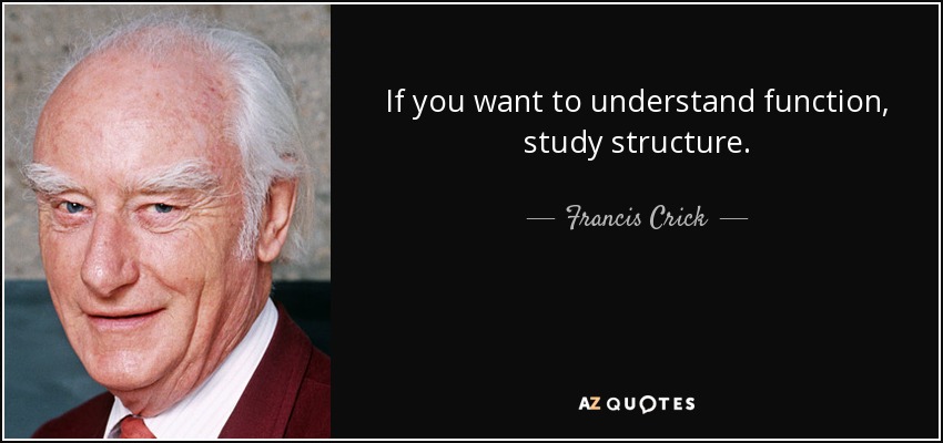 Francis Crick quote: If you want to understand function, study structure.