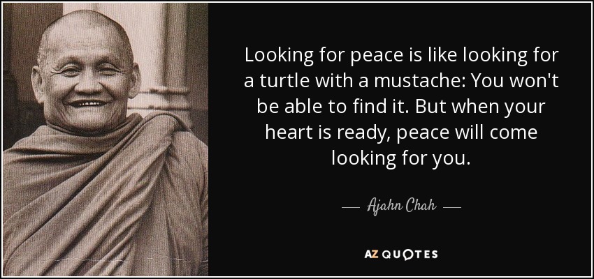 Looking for peace is like looking for a turtle with a mustache: You won't be able to find it. But when your heart is ready, peace will come looking for you. - Ajahn Chah