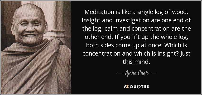 Meditation is like a single log of wood. Insight and investigation are one end of the log; calm and concentration are the other end. If you lift up the whole log, both sides come up at once. Which is concentration and which is insight? Just this mind. - Ajahn Chah