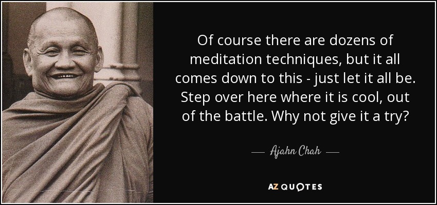 Of course there are dozens of meditation techniques, but it all comes down to this - just let it all be. Step over here where it is cool, out of the battle. Why not give it a try? - Ajahn Chah