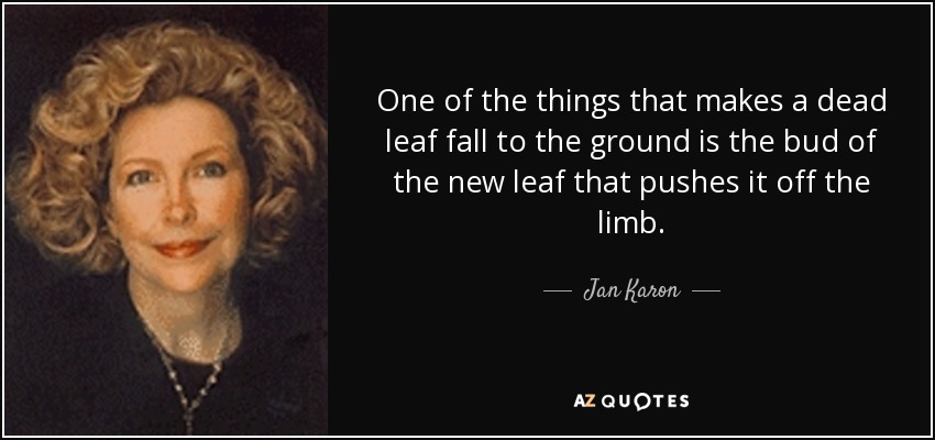 Where do you find excerpts of Jan Karon's books?