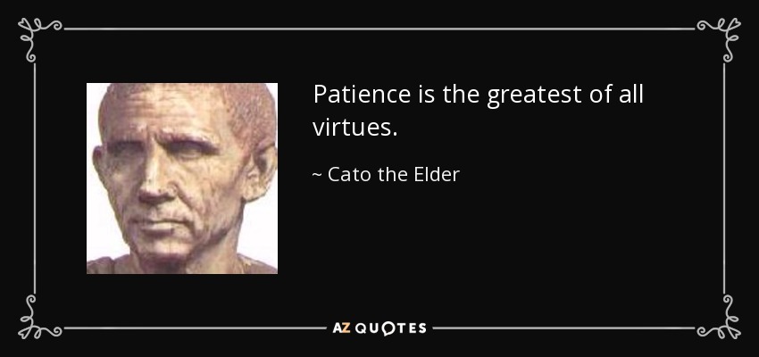 Patience is the greatest of all virtues. - Cato the Elder