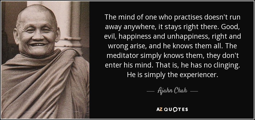 The mind of one who practises doesn't run away anywhere, it stays right there. Good, evil, happiness and unhappiness, right and wrong arise, and he knows them all. The meditator simply knows them, they don't enter his mind. That is, he has no clinging. He is simply the experiencer. - Ajahn Chah