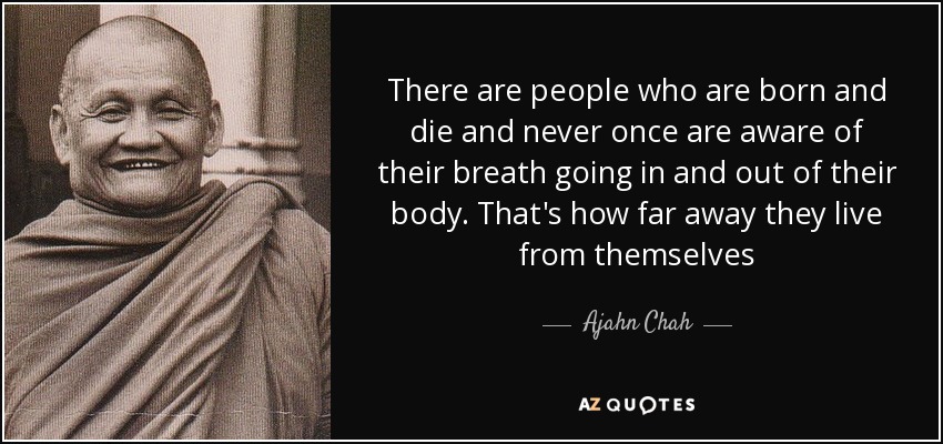 There are people who are born and die and never once are aware of their breath going in and out of their body. That's how far away they live from themselves - Ajahn Chah