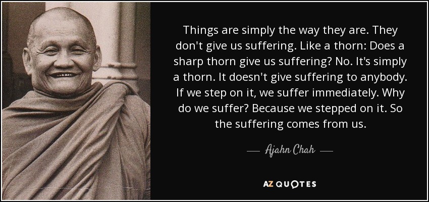 Things are simply the way they are. They don't give us suffering. Like a thorn: Does a sharp thorn give us suffering? No. It's simply a thorn. It doesn't give suffering to anybody. If we step on it, we suffer immediately. Why do we suffer? Because we stepped on it. So the suffering comes from us. - Ajahn Chah