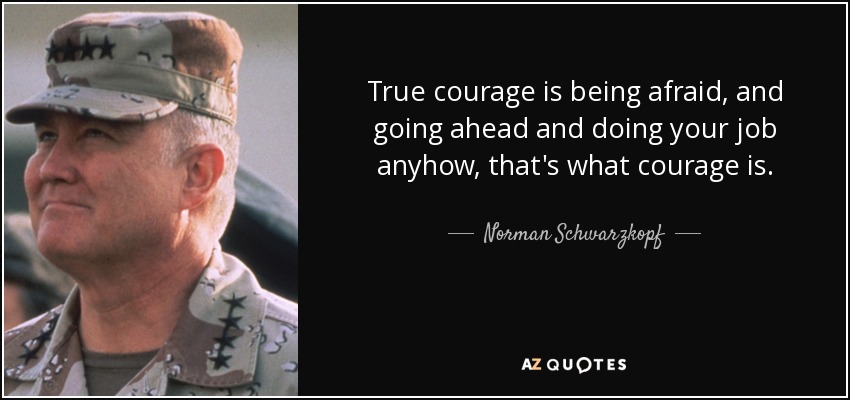 True courage is being afraid, and going ahead and doing your job anyhow, that's what courage is. - Norman Schwarzkopf