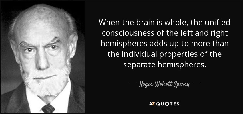 When the brain is whole, the unified consciousness of the left and right hemispheres adds up to more than the individual properties of the separate ... - quote-when-the-brain-is-whole-the-unified-consciousness-of-the-left-and-right-hemispheres-roger-wolcott-sperry-74-31-60