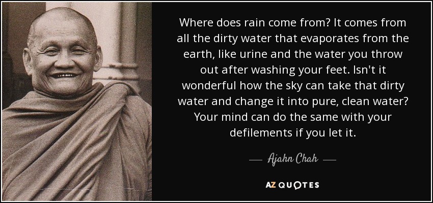 Where does rain come from? It comes from all the dirty water that evaporates from the earth, like urine and the water you throw out after washing your feet. Isn't it wonderful how the sky can take that dirty water and change it into pure, clean water? Your mind can do the same with your defilements if you let it. - Ajahn Chah