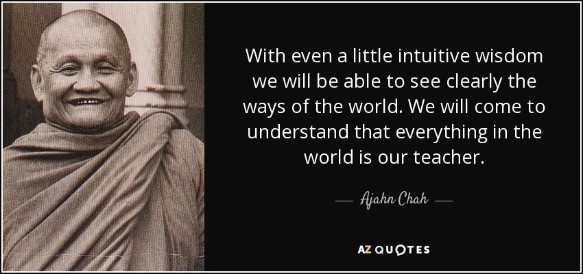 With even a little intuitive wisdom we will be able to see clearly the ways of the world. We will come to understand that everything in the world is our teacher. - Ajahn Chah