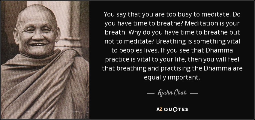 You say that you are too busy to meditate. Do you have time to breathe? Meditation is your breath. Why do you have time to breathe but not to meditate? Breathing is something vital to peoples lives. If you see that Dhamma practice is vital to your life, then you will feel that breathing and practising the Dhamma are equally important. - Ajahn Chah