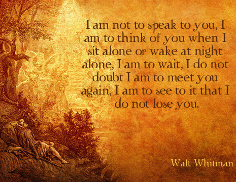 I am not to speak to you, I am to think of you when I sit alone or wake at night alone, I am to wait, I do not doubt I am to meet you again, I am to see to it that I do not lose you. - Walt Whitman
