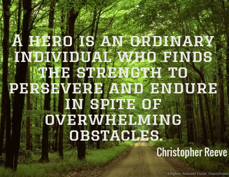 A hero is an ordinary individual who finds the strength to persevere and endure in spite of overwhelming obstacles. - Christopher Reeve