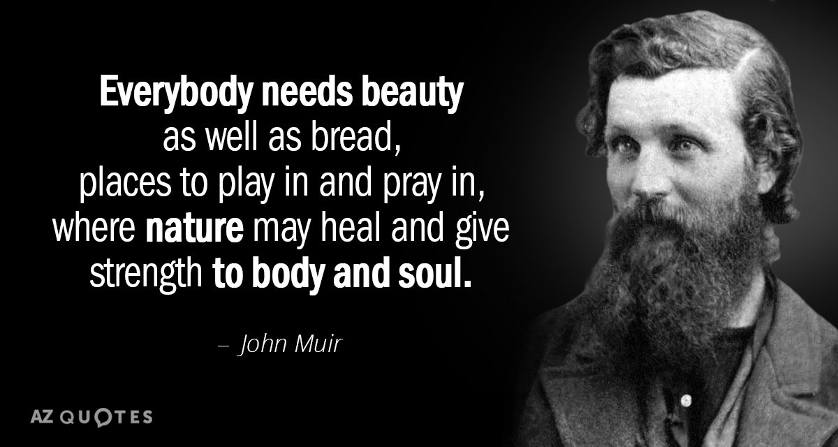 John Muir quote: Everybody needs beauty as well as bread, places to play in and pray...
