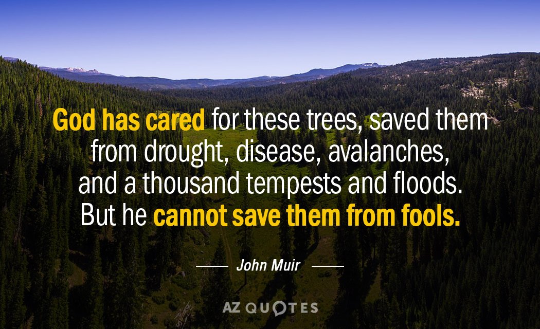 John Muir quote: God has cared for these trees, saved them from drought, disease, avalanches, and...