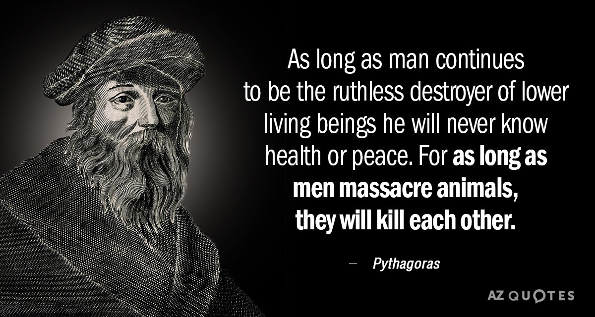 Pythagoras quote: As long as man continues to be the ruthless destroyer of lower living beings...