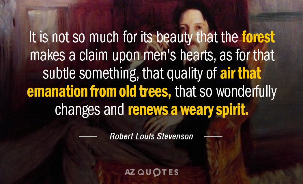 Robert Louis Stevenson quote: It is not so much for its beauty that the forest makes...