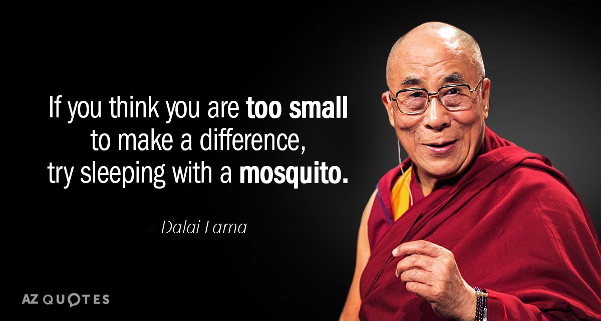 Dalai Lama quote: If you think you are too small to make a difference, try sleeping...
