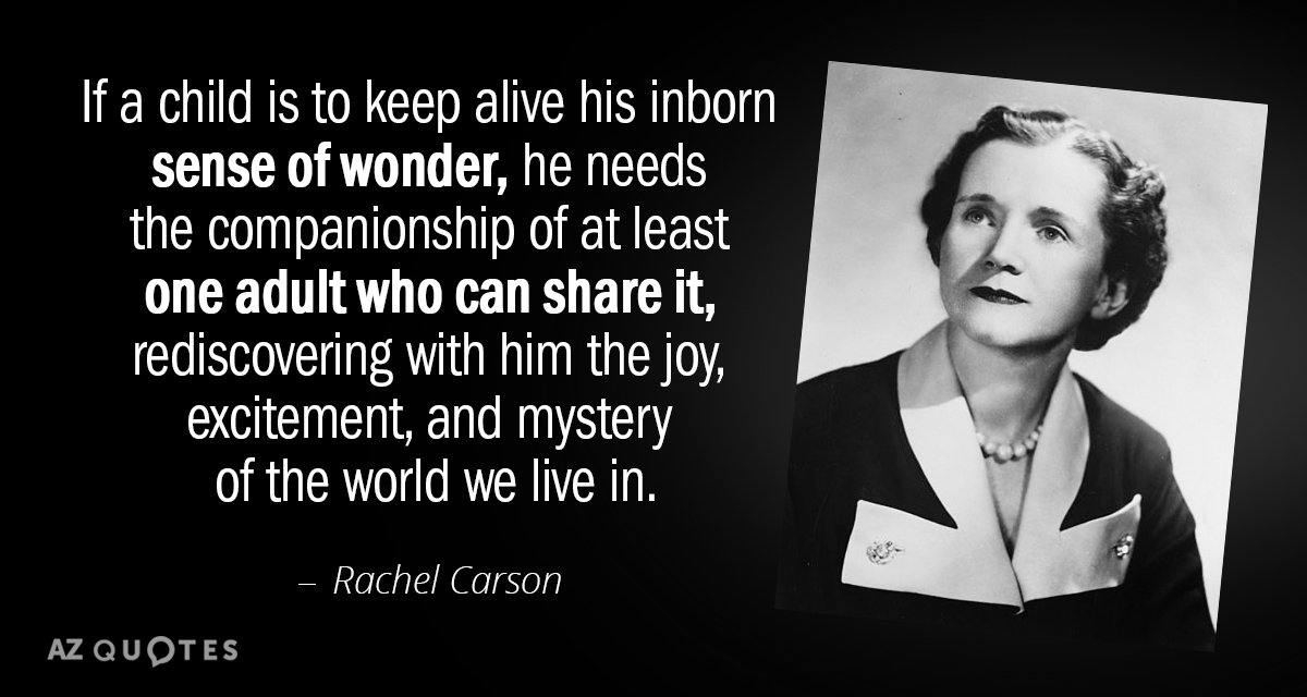 Rachel Carson quote: If a child is to keep alive his inborn sense of wonder, he...