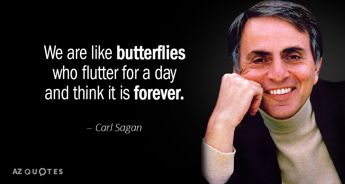 Carl Sagan quote: We are like butterflies who flutter for a day and think it is...