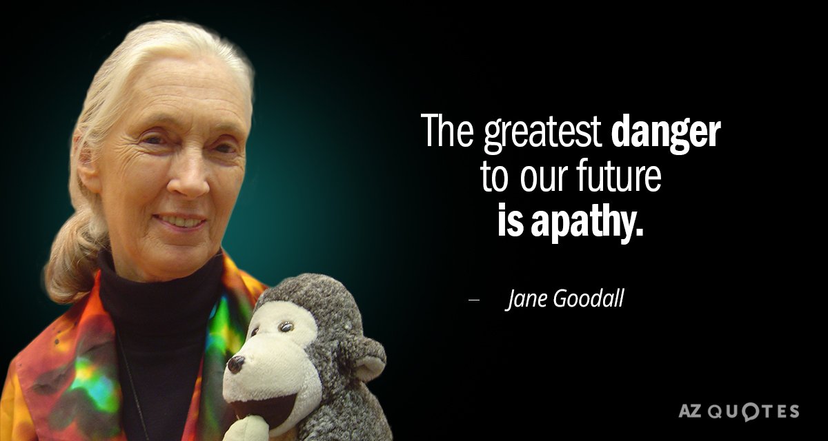 Jane Goodall quote: The greatest danger to our future is apathy.
