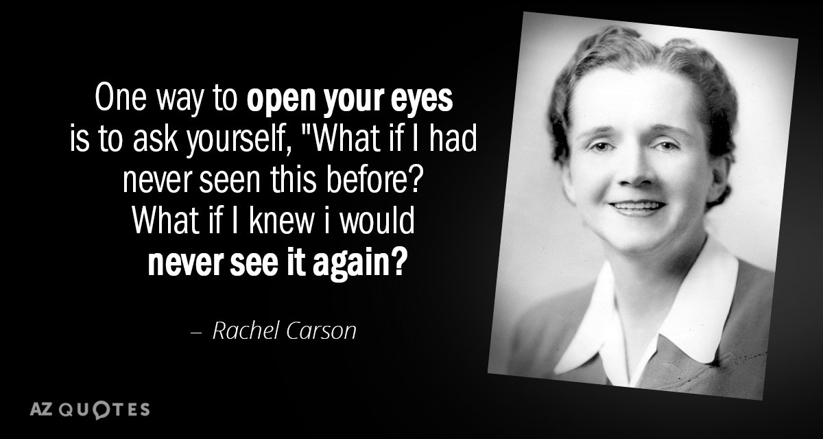 Rachel Carson quote: One way to open your eyes is to ask yourself, 